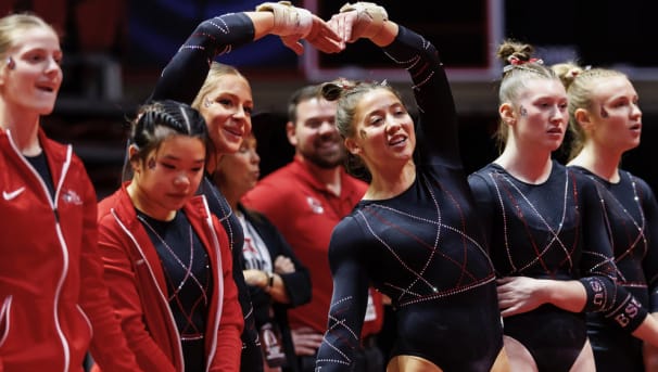 Gymnastics Image