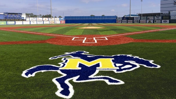 Baseball Blue Wall Project Image