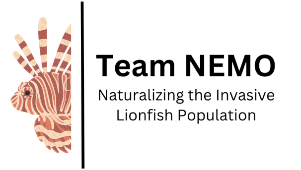 Team NEMO Image