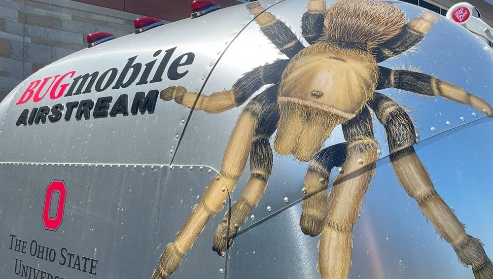 Exterior of the Bugmobile