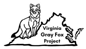 The Virginia Gray Fox Project