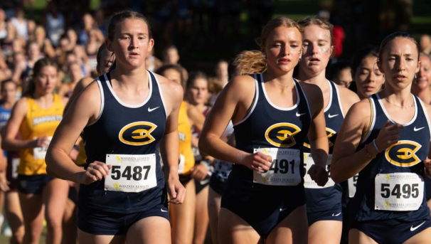 Cross Country - Women's Image