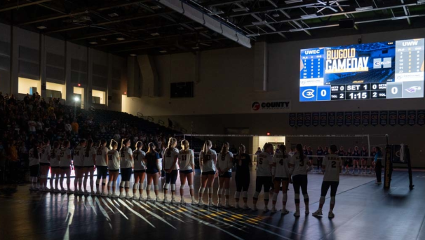 Volleyball - Women's Image