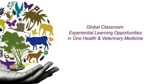 Global Classroom: Experiential Learning Opportunities