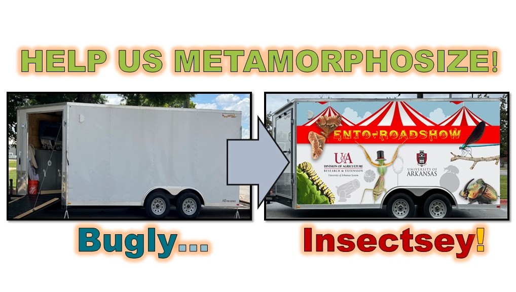 Composite of trailer in current form and with a full vinyl graphic wrap