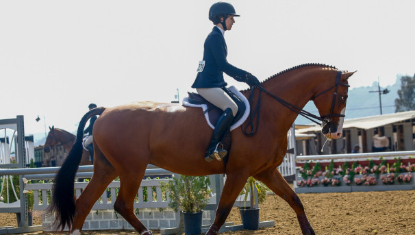 Cal Equestrian Team Fundraising Image