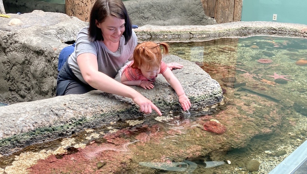 Young visitors can connect direclty with animals of the Salish Sea.