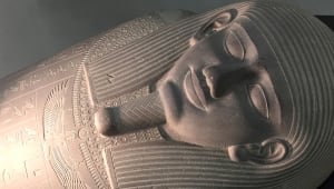 The Doctor Will See You Now