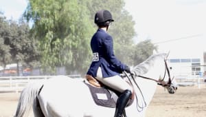 UCLA Equestrian: Getting Riders into the Saddle