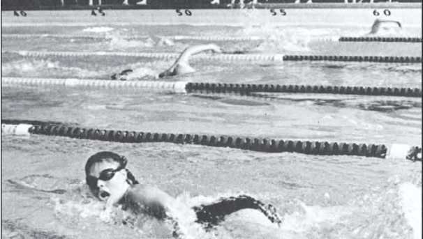 Swimming and Diving Image