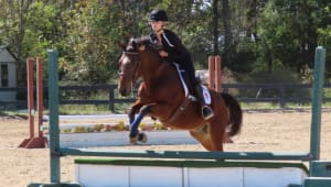 Equestrian Club 25-26