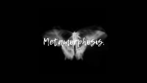 The Metamorphosis