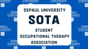 Student Occupational Therapy Association (SOTA)