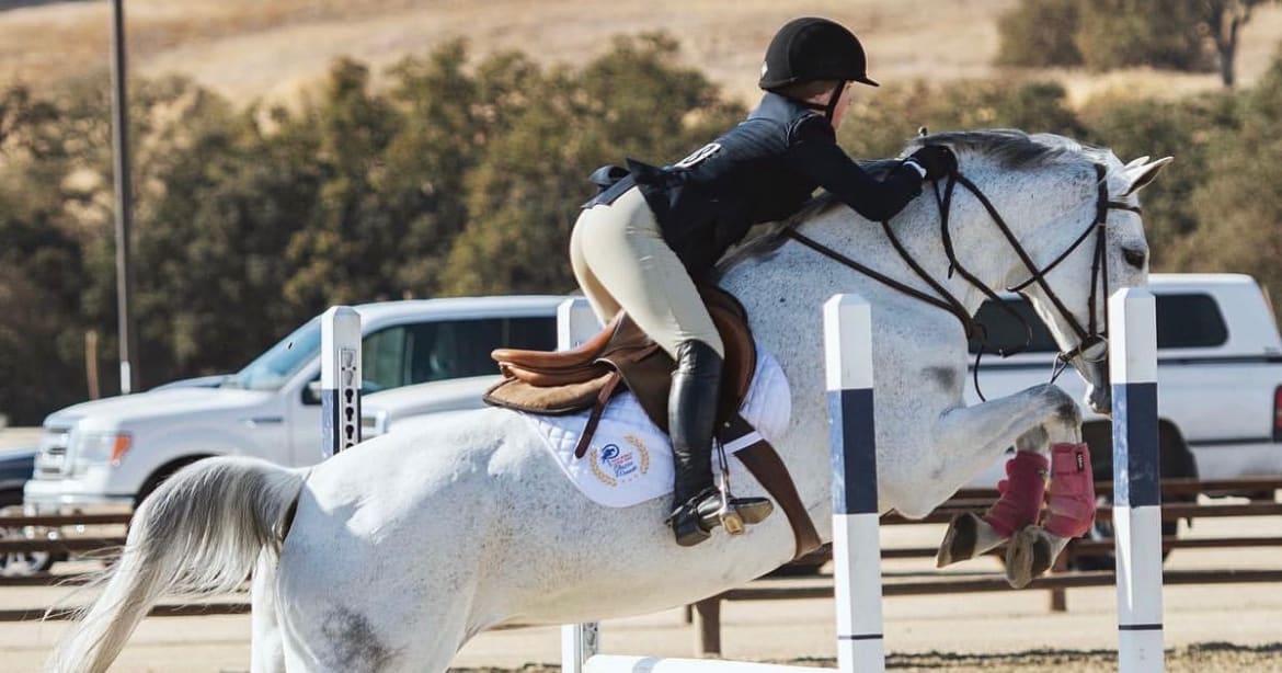 Past Projects Cal Equestrian Fundraiser