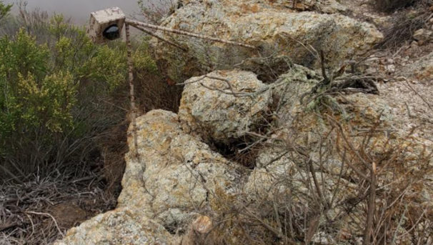 A photo of the live stream camera used to film rattlesnakes