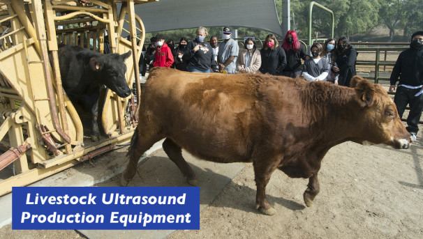FY23 Livestock Ultrasound Production Equipment Image