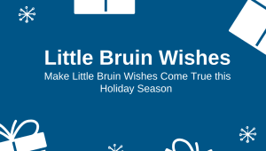 Little Bruin Wishes 2020