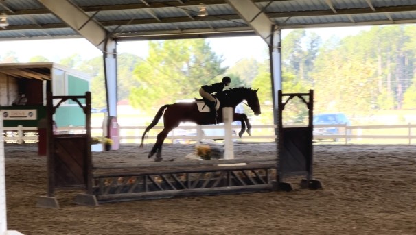 Equestrian Club 2026-27 Image