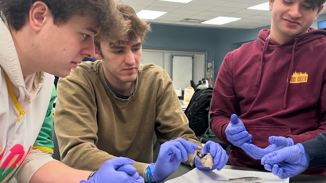Students collaborating on a lab activity