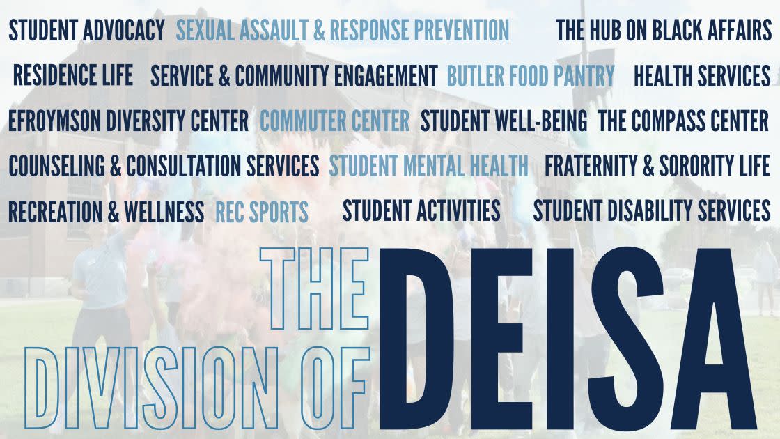 Graphic explaining the DEISA Division