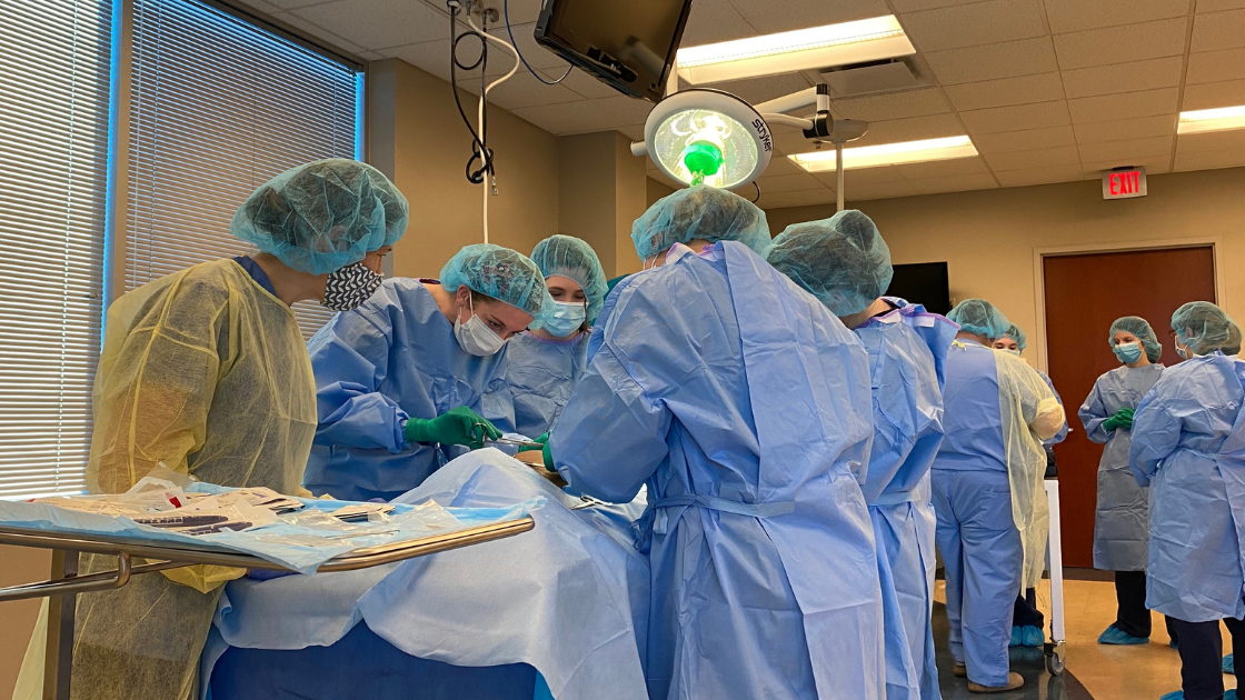 Students conducting a procedure in lab