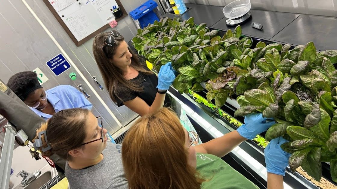 Group of CSUN staff and students looking at an indoor farm operation.