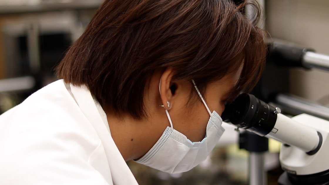 KU graduate student and Panorama Student Grant recipient Nikki Realubit peers into a microscope.