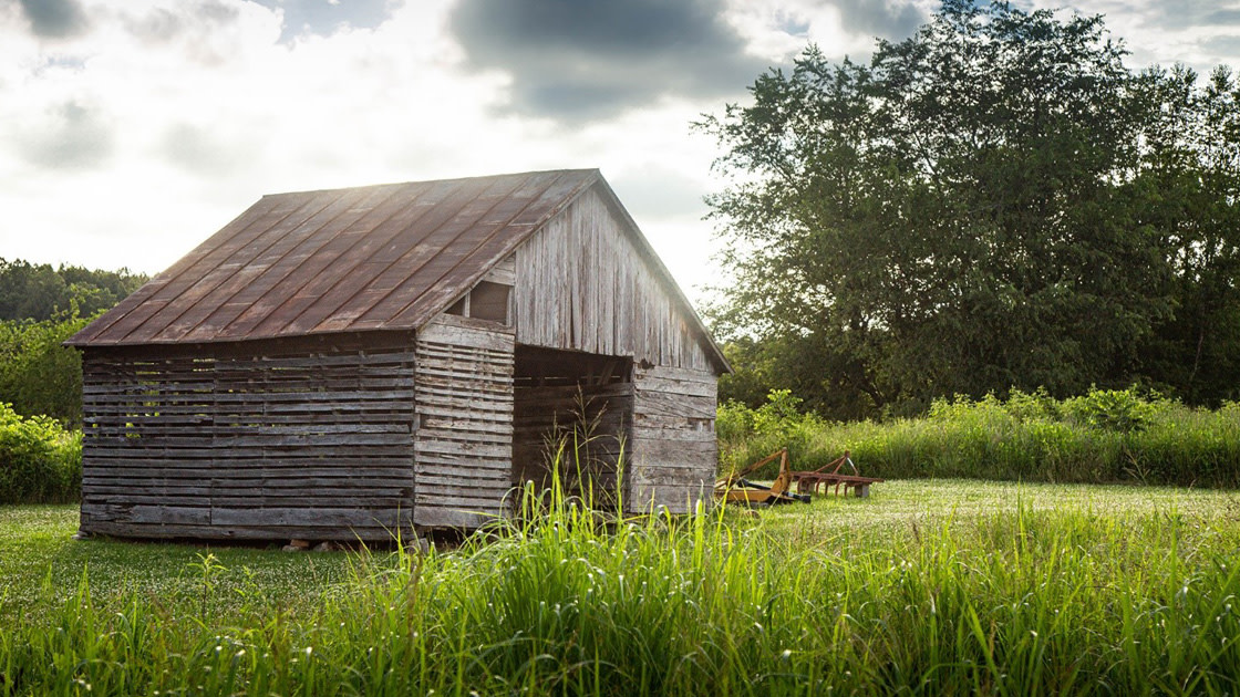 Shed 1