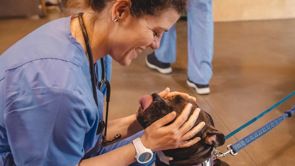 Woman petting dog with tongue out