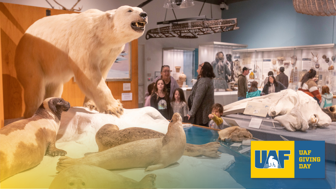 UA Museum of the Nprth display