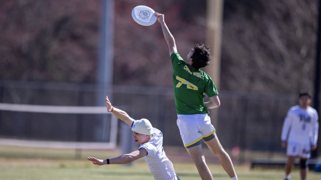 Action Shot