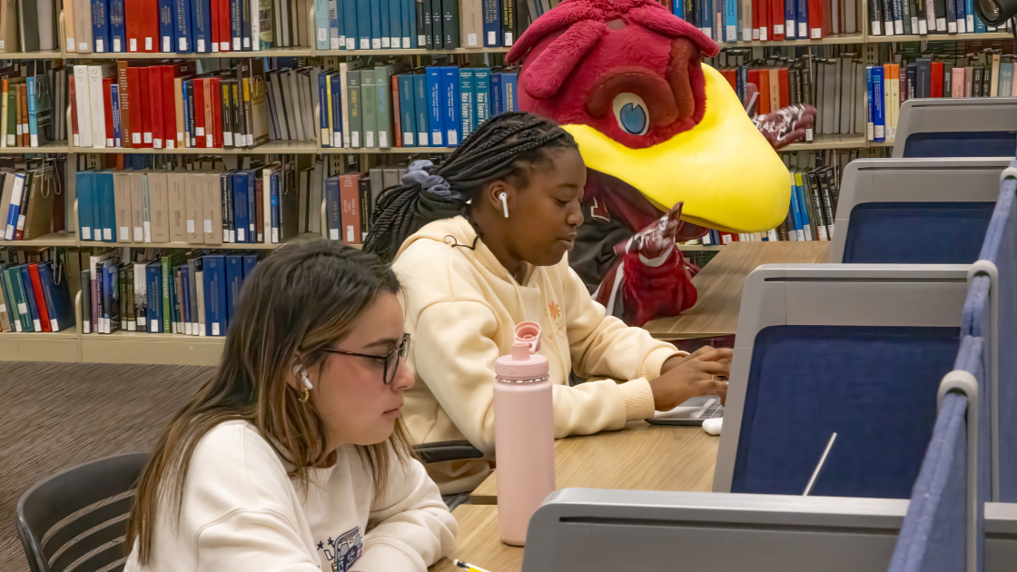 Cocky studying with students