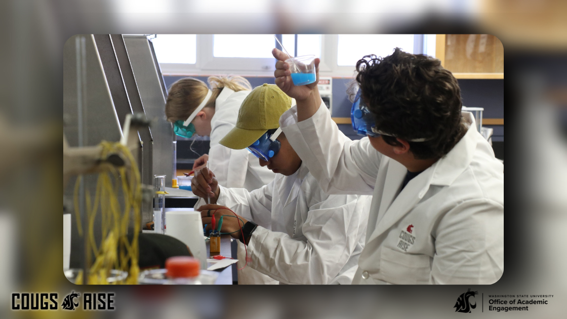 Cougs Rise Scuba Diving