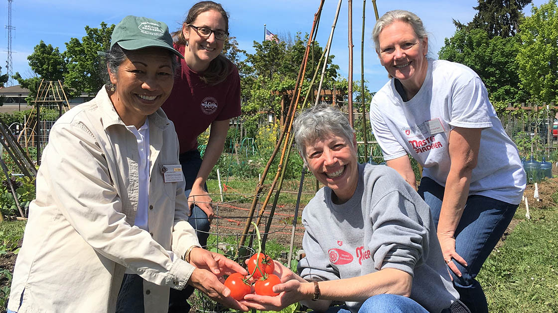 Master Gardeners in Clallum County