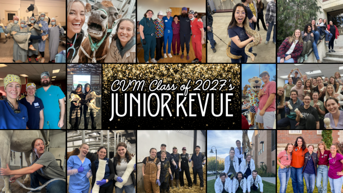 Class of 2027 collage