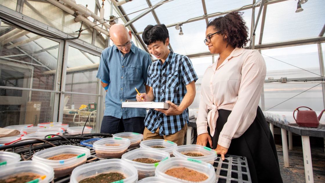Photo of students with their professor in the greenhouse looking at soil samples.