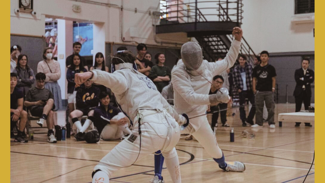 Fencing in action