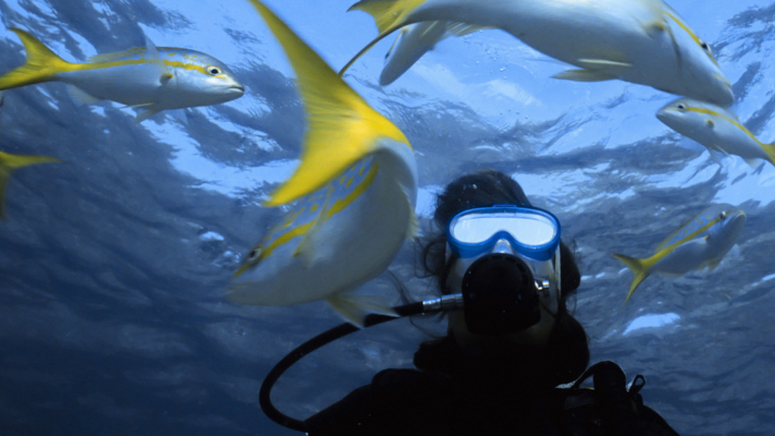 Gordon Smith at sea and Long Marine Lab