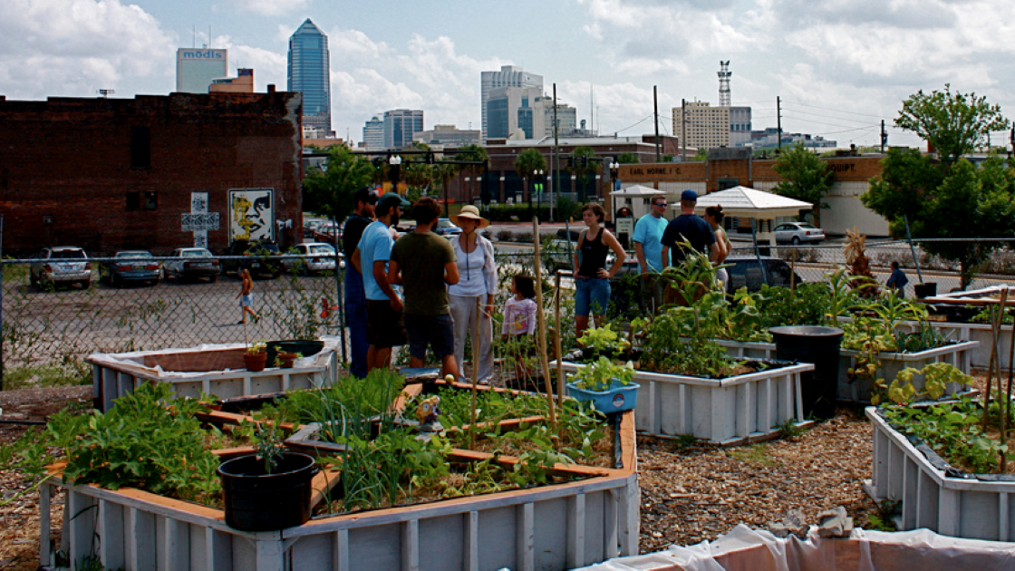 Community garden in an urban area.