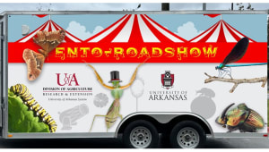 ENTO-ROADSHOW: Mobile Entomology STEAM Classroom