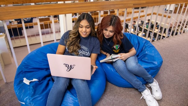 Two students study on a bean bag chair