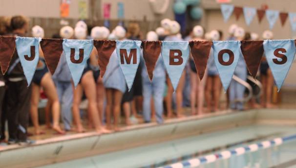 2018 NESCAC Swim/Dive Championship Fundraiser Image