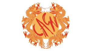 Chinese American Culture Night 2019