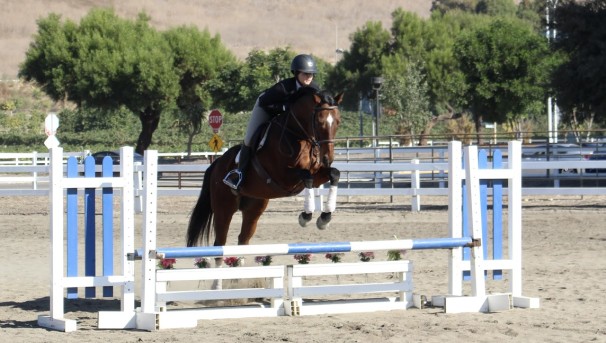 Past Projects Ucla Equestrian Getting Riders Into The Saddle