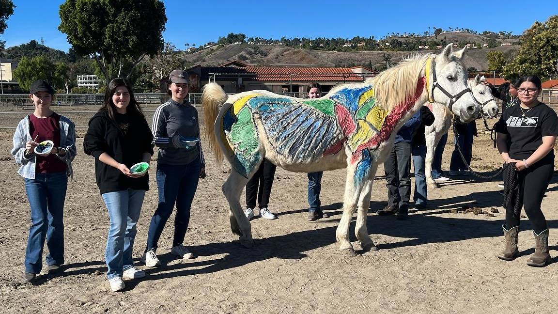 Lean by Doing at the W.K. Kellogg Arabian Horse Center