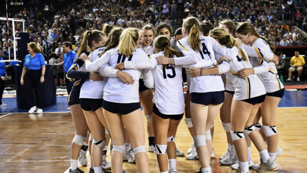 Cal Club Volleyball Image