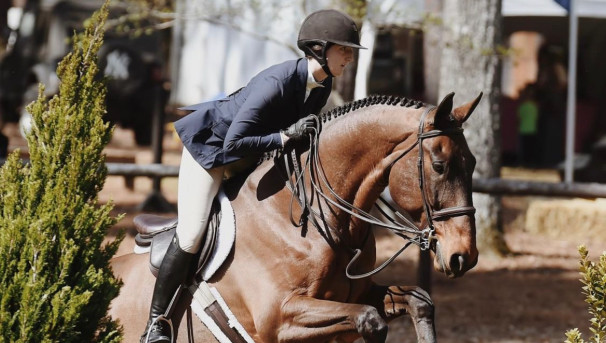 Cal Equestrian Fundraiser Image