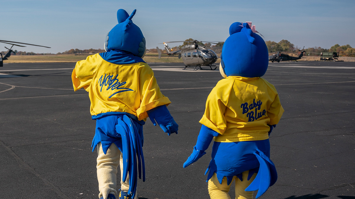 Delaware Mascot