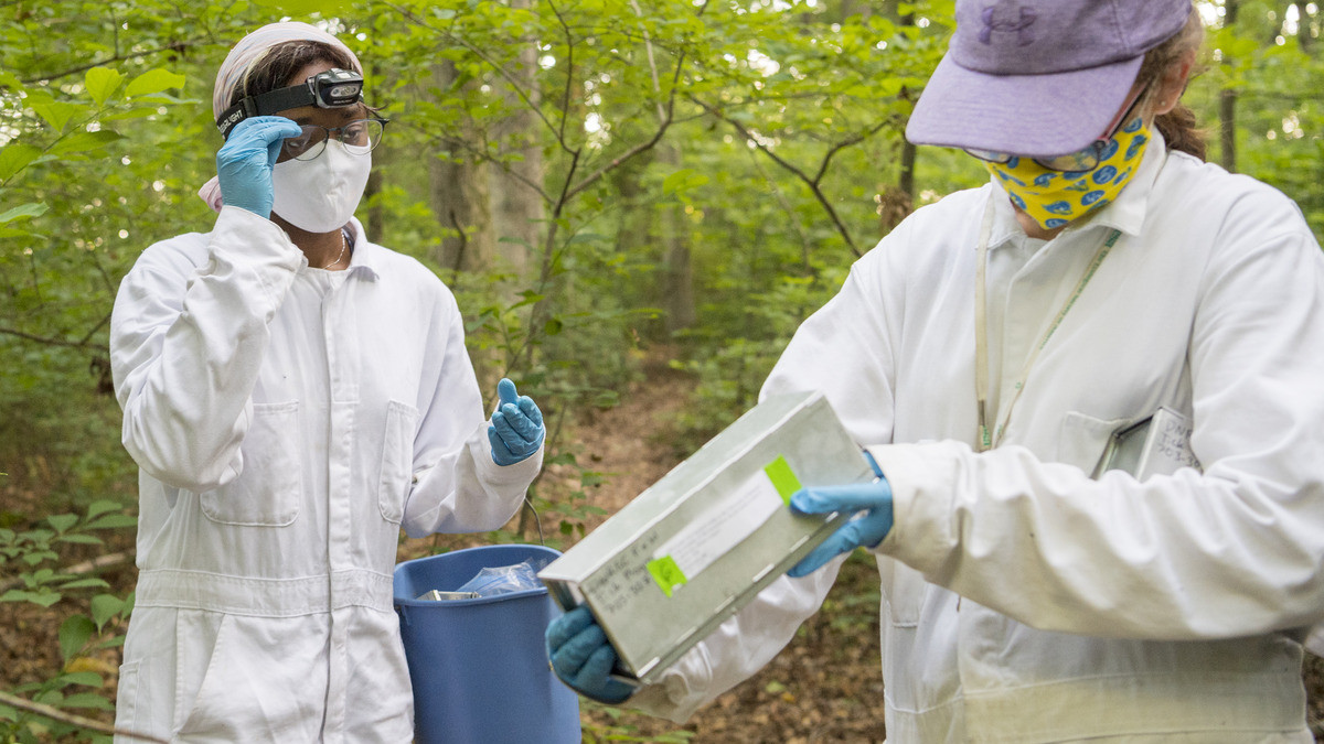 Disease Ecology Lab