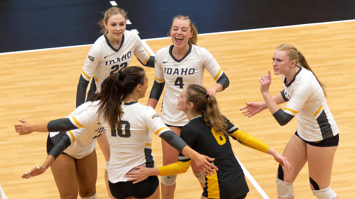 Vandal Volleyball